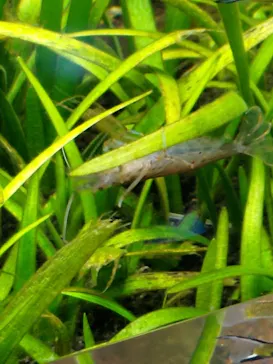 AQUARIUM × ART　atoaに投稿された画像（2026/3/17）