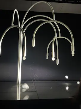 六本木クロッシング2025展（森美術館）に投稿された画像（2026/3/17）