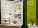 特別展「鳥 ～ゲノム解析が解き明かす新しい鳥類の系統～」に投稿された画像（2026/3/17）