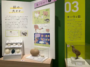 特別展「鳥 ～ゲノム解析が解き明かす新しい鳥類の系統～」に投稿された画像（2026/3/17）