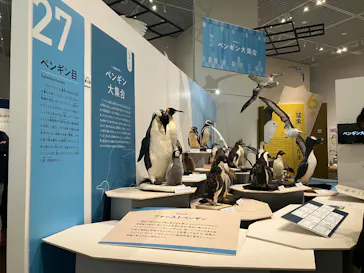 特別展「鳥 ～ゲノム解析が解き明かす新しい鳥類の系統～」に投稿された画像（2026/3/17）