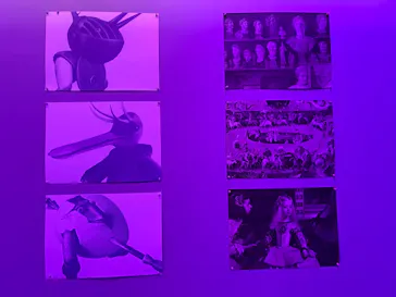 Art Masters: プラド美術館所蔵品VR展に投稿された画像（2026/3/17）