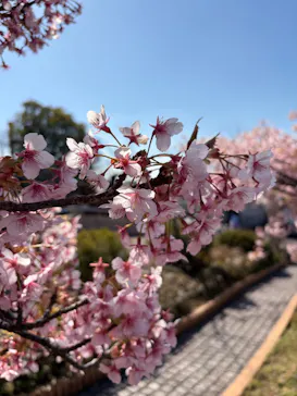 ひらかたパークに投稿された画像（2026/3/17）