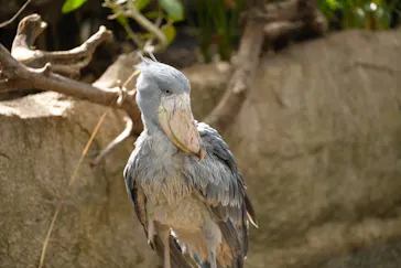 那須どうぶつ王国に投稿された画像（2026/3/17）