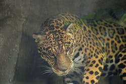 那須どうぶつ王国に投稿された画像（2026/3/17）