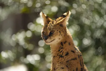 那須どうぶつ王国に投稿された画像（2026/3/17）