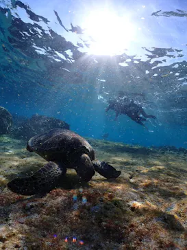 宮古島マリン SUGAR3（シュガースリー）に投稿された画像（2026/3/17）