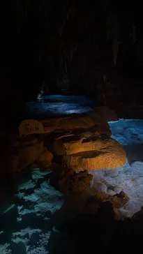 おきなわワールドに投稿された画像（2026/3/17）