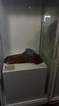 おきなわワールドに投稿された画像（2026/3/17）