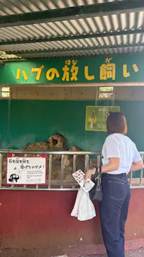 おきなわワールドに投稿された画像（2026/3/17）