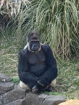 千葉市動物公園に投稿された画像（2026/3/17）