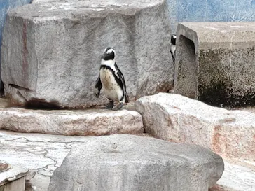 千葉市動物公園に投稿された画像（2026/3/17）