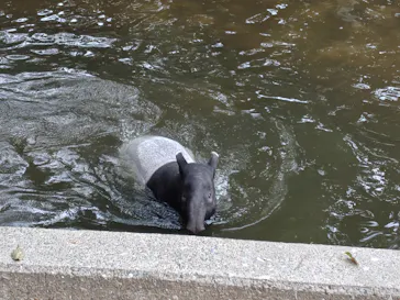 千葉市動物公園に投稿された画像（2026/3/17）