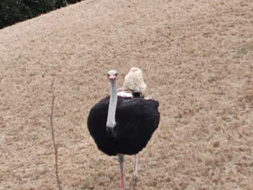 千葉市動物公園に投稿された画像（2026/3/17）