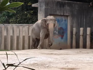 千葉市動物公園に投稿された画像（2026/3/17）