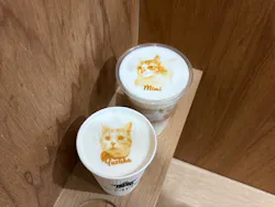 Cat Café MOFF つかしん店に投稿された画像（2026/3/17）