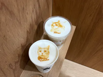 Cat Café MOFF つかしん店に投稿された画像（2026/3/17）