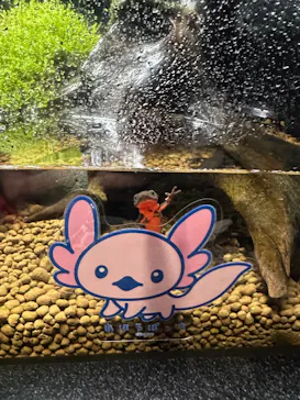 新江ノ島水族館に投稿された画像（2026/3/18）