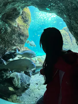 新江ノ島水族館に投稿された画像（2026/3/18）