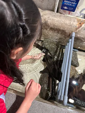 新江ノ島水族館に投稿された画像（2026/3/18）