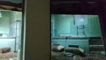 名古屋市東山動植物園に投稿された画像（2026/3/18）