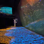 アクアワールド茨城県大洗水族館に投稿された画像（2026/3/18）