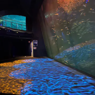 アクアワールド茨城県大洗水族館に投稿された画像（2026/3/18）