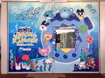 新江ノ島水族館に投稿された画像（2026/3/18）