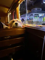 修善寺虹の郷に投稿された画像（2026/3/18）