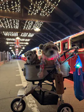 修善寺虹の郷に投稿された画像（2026/3/18）