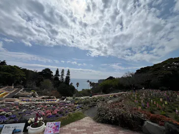 ニューヨークランプミュージアム＆フラワーガーデンに投稿された画像（2026/3/18）