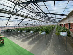 折原果樹園に投稿された画像（2026/3/18）