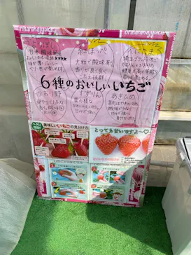 折原果樹園に投稿された画像（2026/3/18）