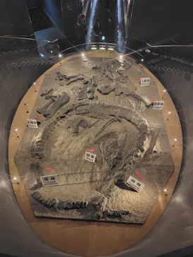 福井県立恐竜博物館に投稿された画像（2026/3/18）