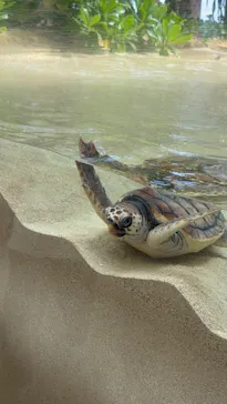 鴨川シーワールドに投稿された画像（2026/3/18）