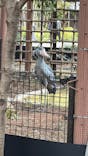 恩賜上野動物園に投稿された画像（2026/3/18）