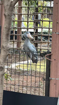 恩賜上野動物園に投稿された画像（2026/3/18）
