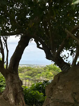 今帰仁城跡に投稿された画像（2026/3/18）