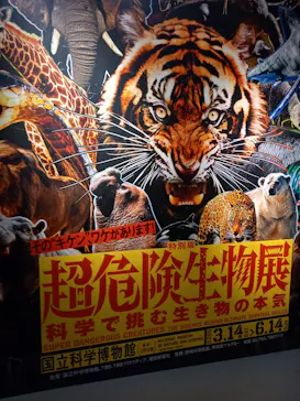 特別展「超危険生物展　科学で挑む生き物の本気」に投稿された画像（2026/3/18）