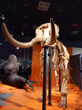 特別展「超危険生物展　科学で挑む生き物の本気」に投稿された画像（2026/3/18）