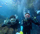 武藤潜水に投稿された画像（2026/3/18）