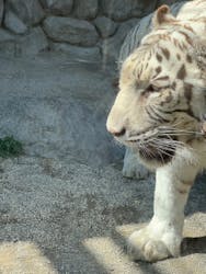 東武動物公園に投稿された画像（2026/3/18）