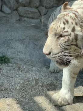 東武動物公園に投稿された画像（2026/3/18）