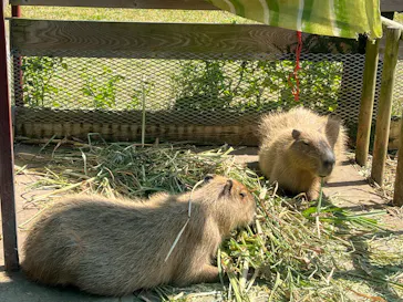 ネオパークオキナワに投稿された画像（2026/3/18）