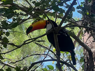 ネオパークオキナワに投稿された画像（2026/3/18）