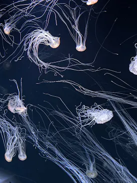 サンシャイン水族館に投稿された画像（2026/3/18）