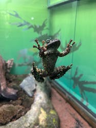 サンシャイン水族館に投稿された画像（2026/3/18）