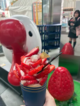 OSAKA Strawberry Festivalに投稿された画像（2026/3/18）