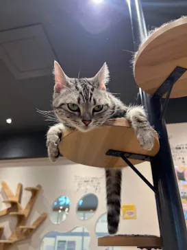 いぬカフェRio イオンモール常滑店に投稿された画像（2026/3/18）