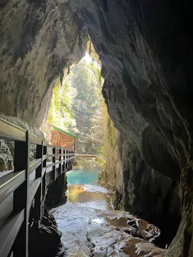 秋芳洞に投稿された画像（2026/3/18）